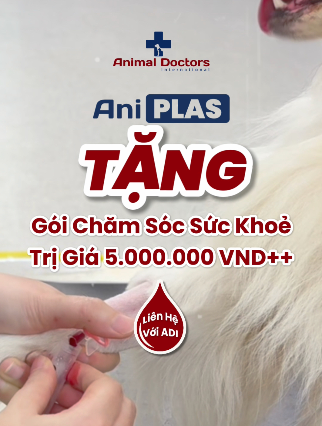 AniPlas Blood Bank